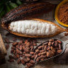Какао масло нерафинированное
