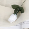 Зелень для букетов "Роза Белая"