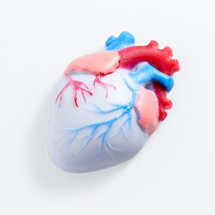 Живое сердце форма пластиковая