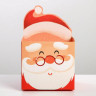 Коробка для мини-букетов «С новым годом», Дед Мороз, 12 х 17 х 10 см