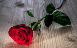 Красная Роза - отдушка косметическая