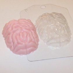 Мозг форма пластиковая